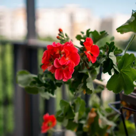 Sky With Free Garage - Sky Apartamento