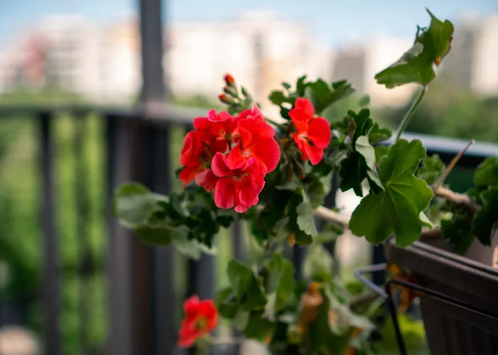 Sky With Free Garage - Sky Apartamento